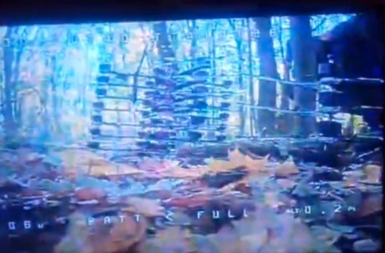 1万朝鲜特种兵凭空消失？苏梅全线告急<strong></p>
<p>莱特币行情</strong>，乌克兰截获绝密前线情报