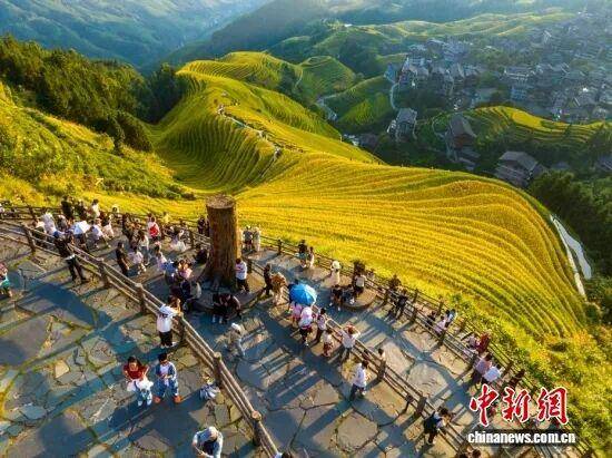 金秋<strong></p>
<p>LTC行情</strong>，广西的梯田一点不输！