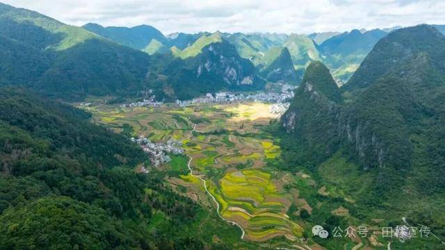 金秋<strong></p>
<p>LTC行情</strong>，广西的梯田一点不输！