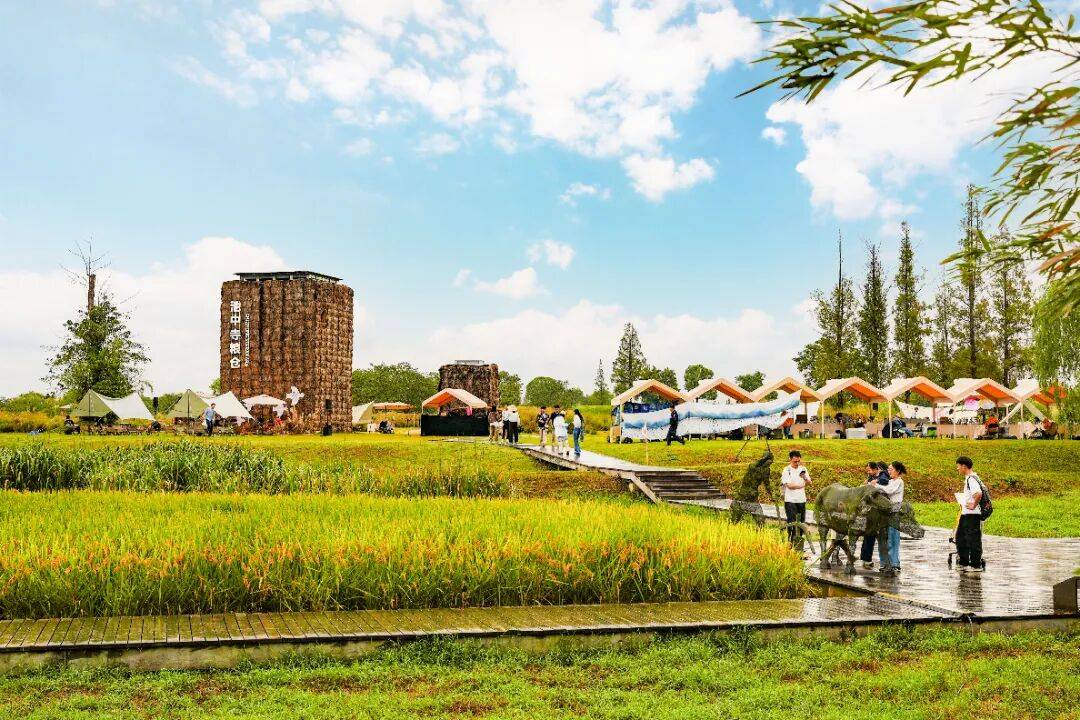 良渚遇“稻”<strong></p>
<p>LTC行情</strong>你 ｜ 秋季活动正当时