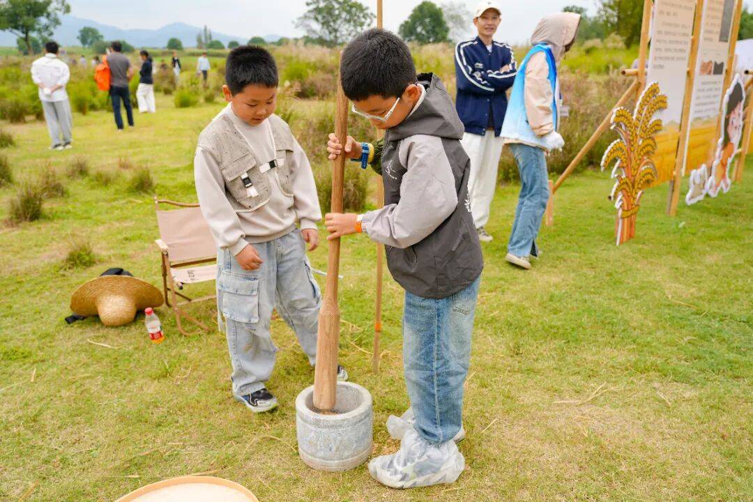 良渚遇“稻”<strong></p>
<p>LTC行情</strong>你 ｜ 秋季活动正当时