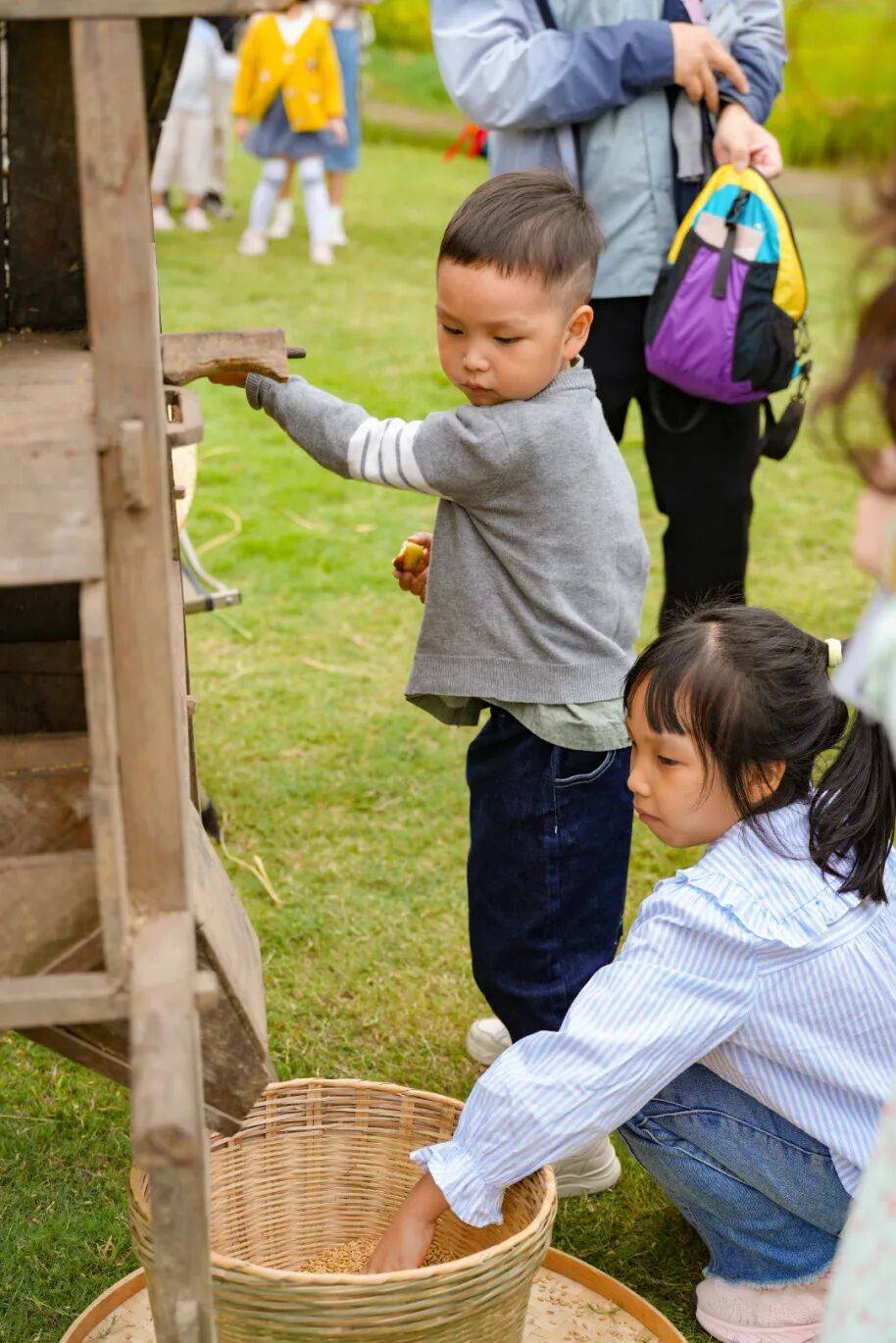 良渚遇“稻”<strong></p>
<p>LTC行情</strong>你 ｜ 秋季活动正当时