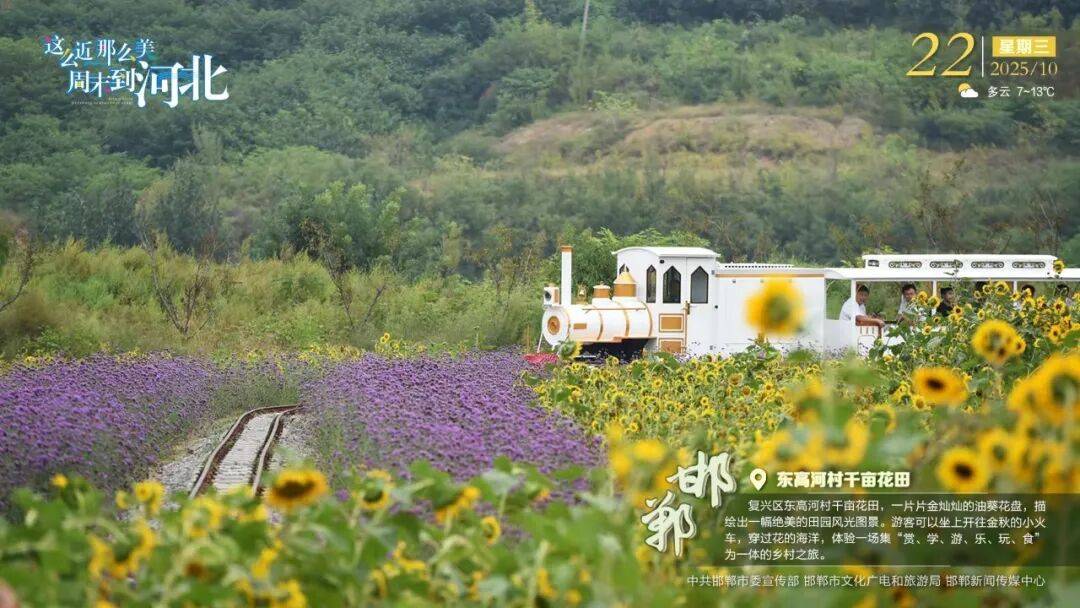 “人工智能+”行动<strong></p>
<p>LTC行情</strong>！河北最新发布