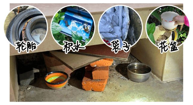 涉学校、公园、城中村<strong></p>
<p>LTC行情</strong>！深圳官方最新公布“黑窝点”