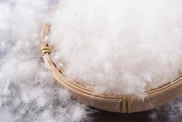 冷空气来袭<strong></p>
<p>LTC行情</strong>，如何正确挑选羽绒服？