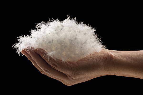 冷空气来袭<strong></p>
<p>LTC行情</strong>，如何正确挑选羽绒服？