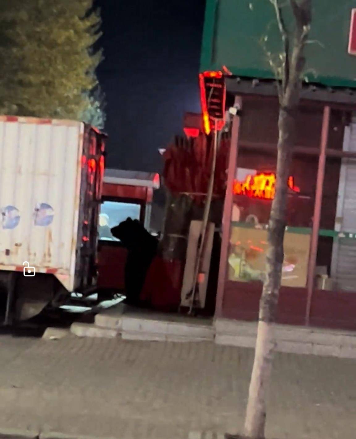 大黑熊夜里独闯黑龙江一县城闹市区<strong></p>
<p>莱特币行情</strong>，警方连开10多枪击毙，回应为何没用麻醉枪