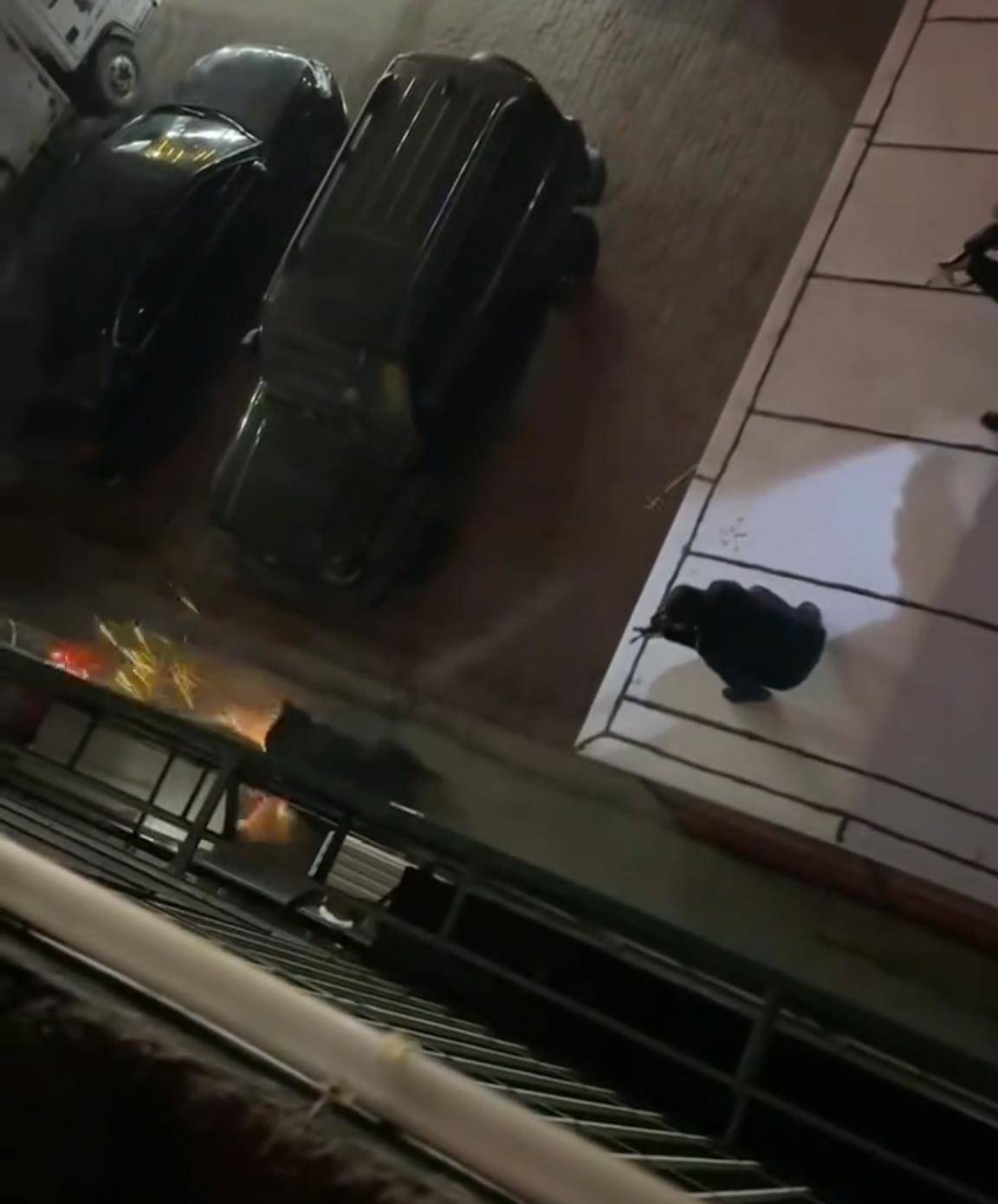 大黑熊夜里独闯黑龙江一县城闹市区<strong></p>
<p>莱特币行情</strong>，警方连开10多枪击毙，回应为何没用麻醉枪