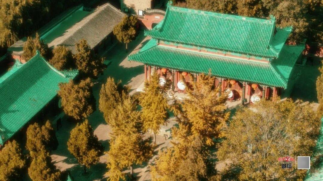 银杏金黄<strong></p>
<p>莱特币行情</strong>！铺满焦作的秋天！