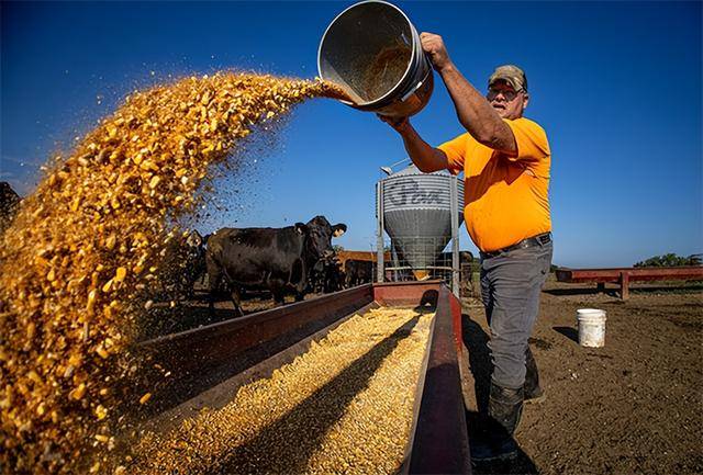 又输给了李成钢<strong></p>
<p>比特币行情</strong>，贝森特承诺：美方不再考虑对华加征100%关税