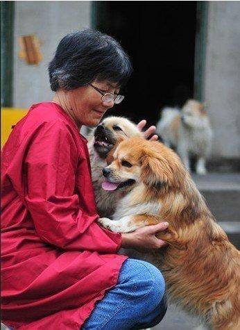 合肥卖房救助流浪狗的魏阿姨离世<strong></p>
<p>抹茶价格</strong>，病中仍然惦记着基地的600只流浪狗，工人：不敢相信世上还有这样执着的人