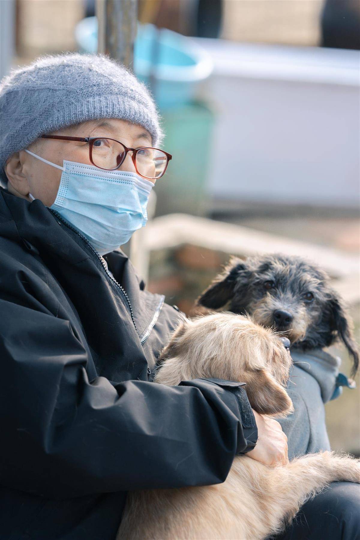 合肥卖房救助流浪狗的魏阿姨离世<strong></p>
<p>抹茶价格</strong>，病中仍然惦记着基地的600只流浪狗，工人：不敢相信世上还有这样执着的人