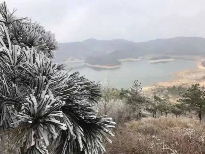 禁止任何形式穿越<strong></p>
<p>BITOP价格</strong>!杭州一地发布最严禁令