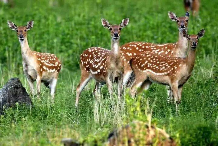 禁止任何形式穿越<strong></p>
<p>BITOP价格</strong>!杭州一地发布最严禁令