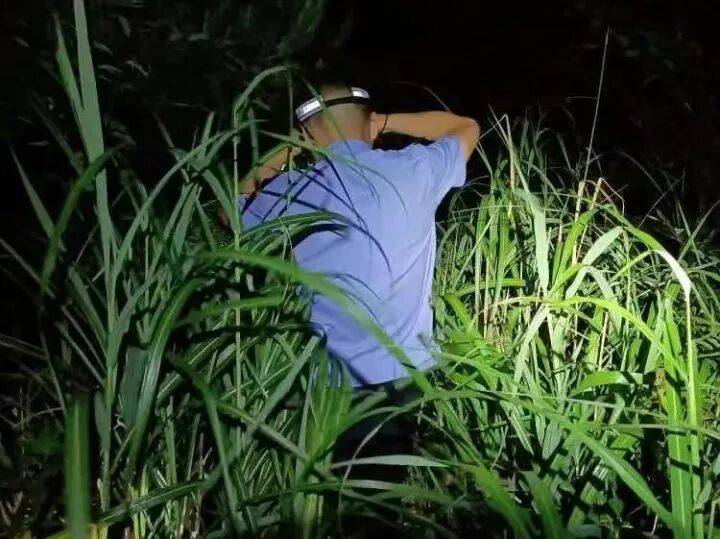 禁止任何形式穿越<strong></p>
<p>BITOP价格</strong>!杭州一地发布最严禁令