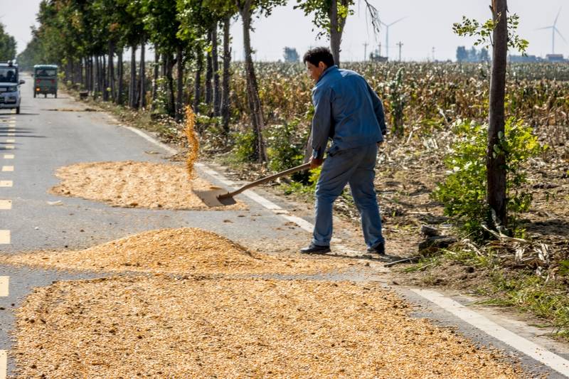阴雨50天<strong></p>
<p>BTC价格</strong>，他用3200块救回30万斤玉米