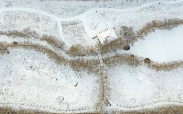 百年难遇“早立冬”来了<strong></p>
<p>比特币价格</strong>！有啥讲究？早看早准备！