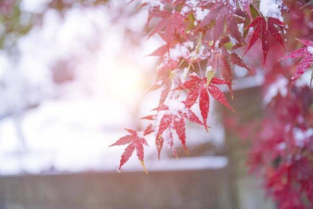 百年难遇“早立冬”来了<strong></p>
<p>比特币价格</strong>！有啥讲究？早看早准备！