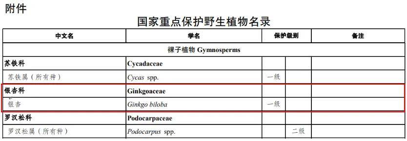 满大街都是银杏树<strong></p>
<p>ETH价格</strong>，为什么还是濒危物种？