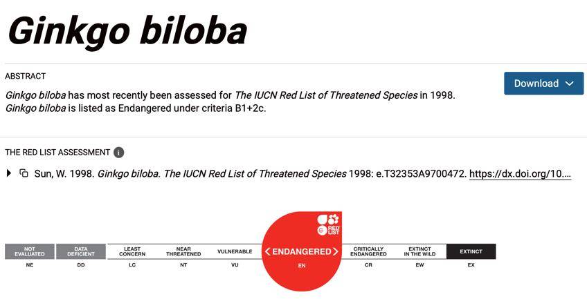 满大街都是银杏树<strong></p>
<p>ETH价格</strong>，为什么还是濒危物种？