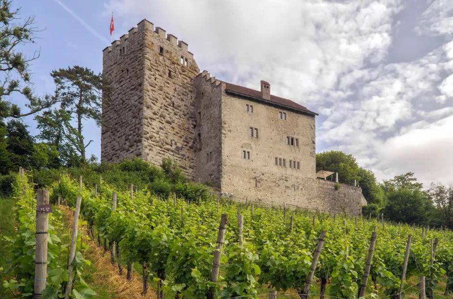 失踪百年的欧洲王室诅咒之钻重现<strong></p>
<p>以太坊价格</strong>，背后藏着一位忠贞皇后的惊人布局