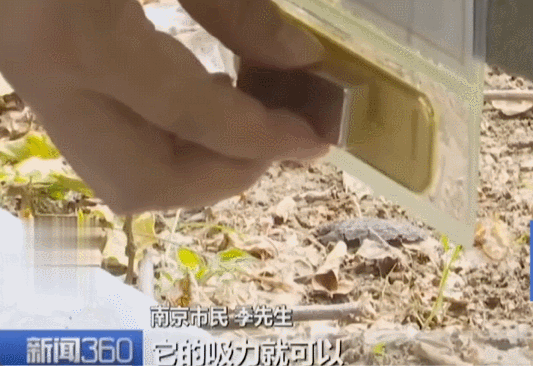 不是慢镜头！福建舰电磁弹射速度那么快<strong></p>
<p>泰达币价格</strong>，是怎么瞬间刹车的？