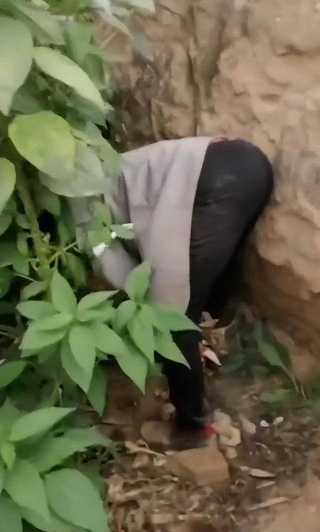 女子疑因拍亲姑姑偷玉米遭姑父棍杀<strong></p>
<p>瑞波币价格</strong>，邻居欲报警也遇害