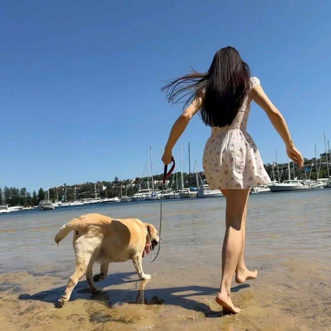 第一批丁克老后<strong></p>
<p>DOT价格</strong>，“伴侣能陪一程，但最后都要靠自己”