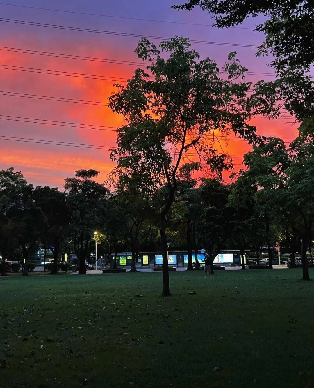 第一批丁克老后<strong></p>
<p>DOT价格</strong>，“伴侣能陪一程，但最后都要靠自己”