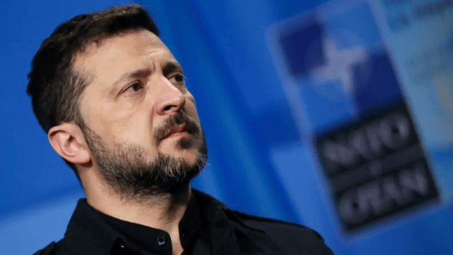 “民族英雄”泽连斯基的背后<strong></p>
<p>DOT价格</strong>，站着一大批中国人