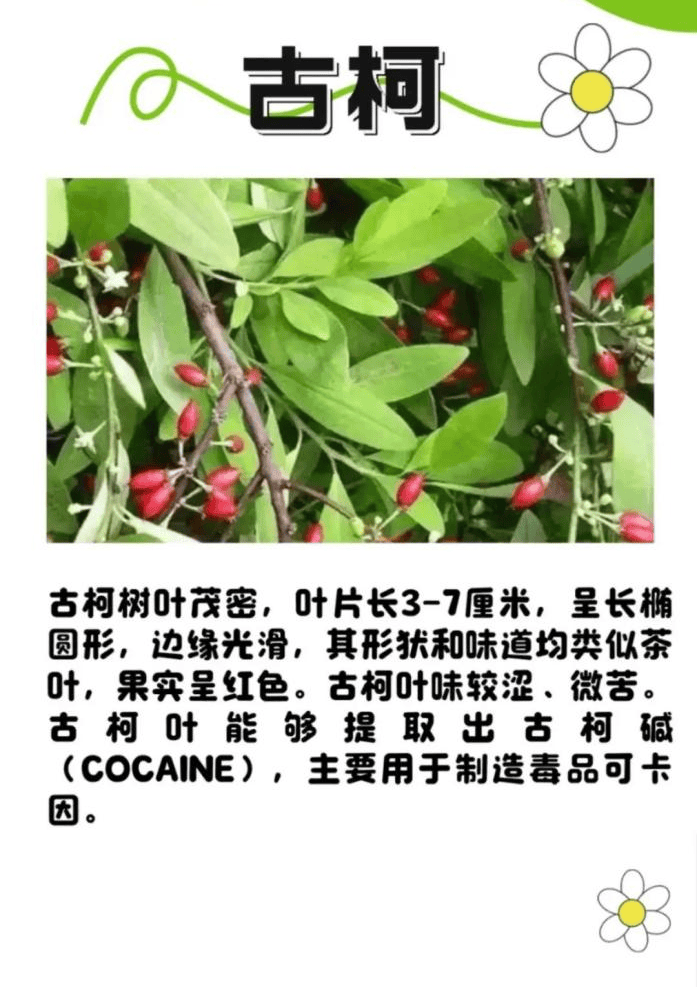 悬赏1500万美金！前奥运选手涉多起案件<strong></p>
<p>币安币价格</strong>，被列入十大通缉犯