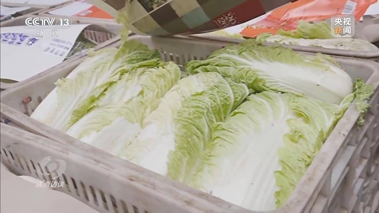 单棵售价超百元<strong></p>
<p>币安币价格</strong>，起底“套牌白菜”背后的销售套路