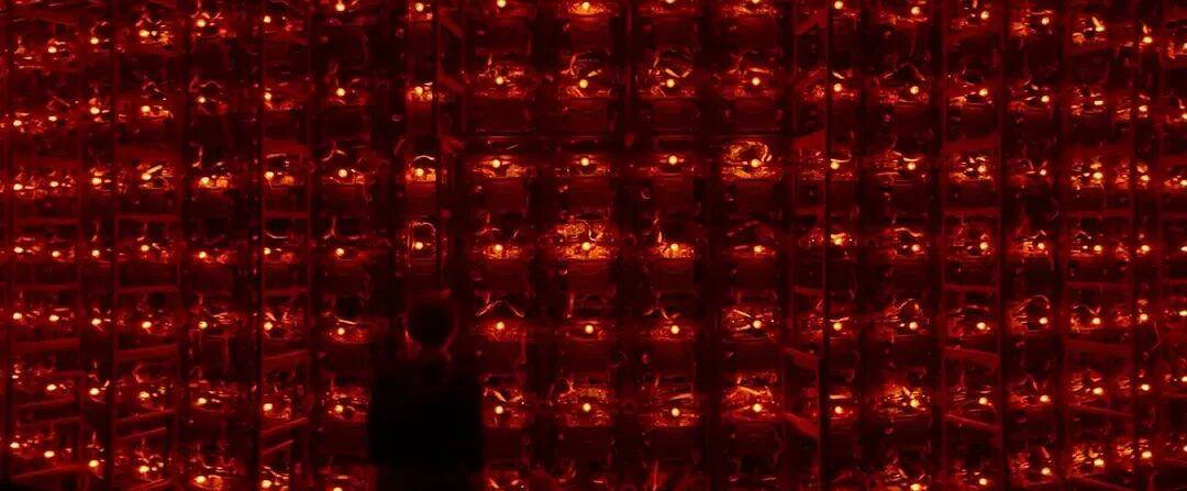 易烊千玺力撑票房但难抵上映口碑两极…《狂野时代》最大的“罪过”<strong></p>
<p>币安币价格</strong>，是难懂吗？