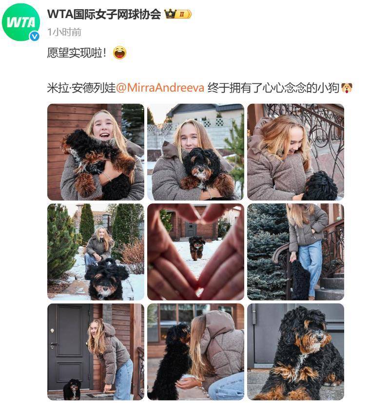 “小米辣”终于有了自己的小狗！曾说养狗是赢球的动力<strong></p>
<p>币安币价格</strong>，WTA官方发“贺信”：愿望实现啦！