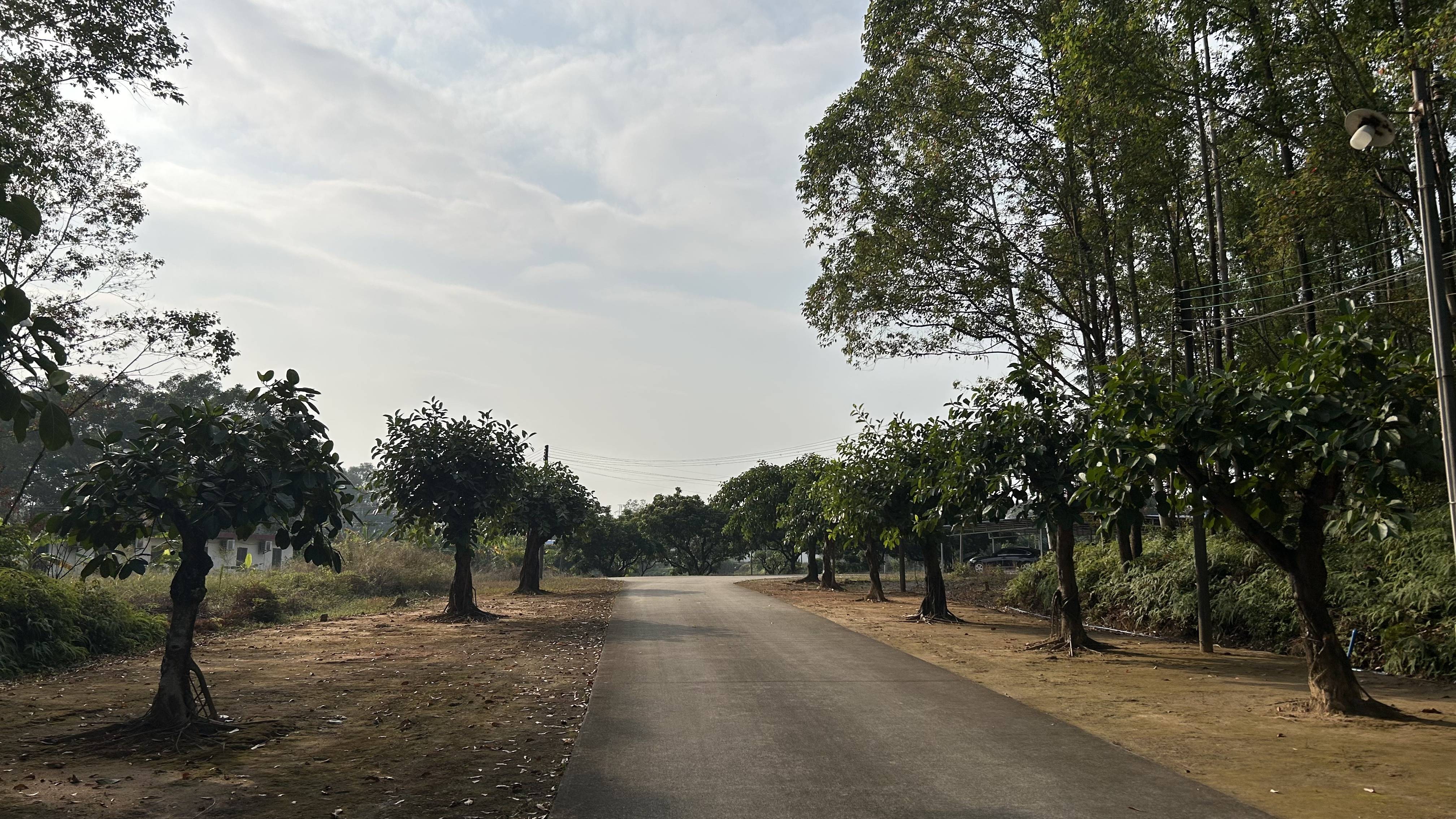 有价无猴！实验猴价格暴涨<strong></p>
<p>比特现金价格</strong>，有猴场明年的猴都被订光，繁殖率已跟不上｜调查