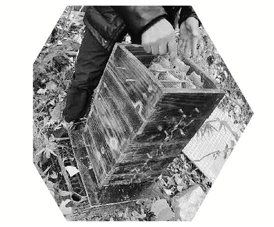 两派蜜蜂打群架<strong></p>
<p>BSV价格</strong>，伤亡惨重 民警：别打了，赔钱赔蜂蜜