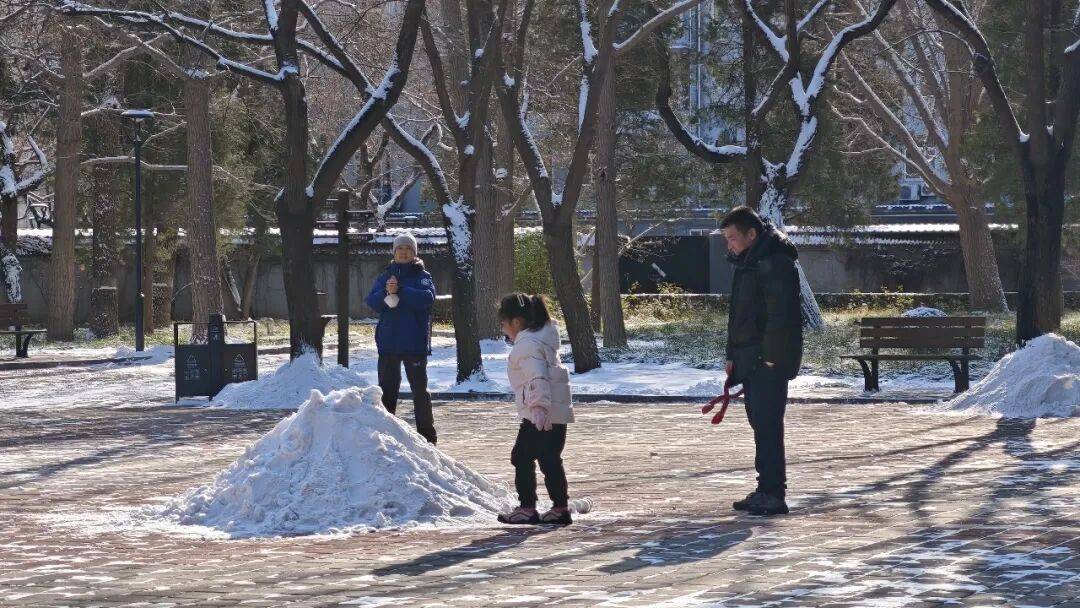 北京绿化带里用了二十年的板子<strong></p>
<p>区块链挖矿价格</strong>，今冬“下岗”了——