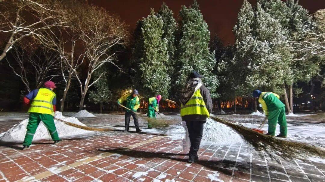 北京绿化带里用了二十年的板子<strong></p>
<p>区块链挖矿价格</strong>，今冬“下岗”了——