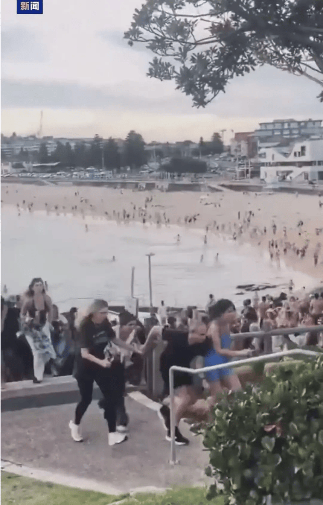 澳大利亚海滩枪击事件两名枪手为父子关系<strong></p>
<p>区块链挖矿价格</strong>，父亲50岁，儿子24岁！一名路人冒险夺枪反击，身中两弹，需接受手术