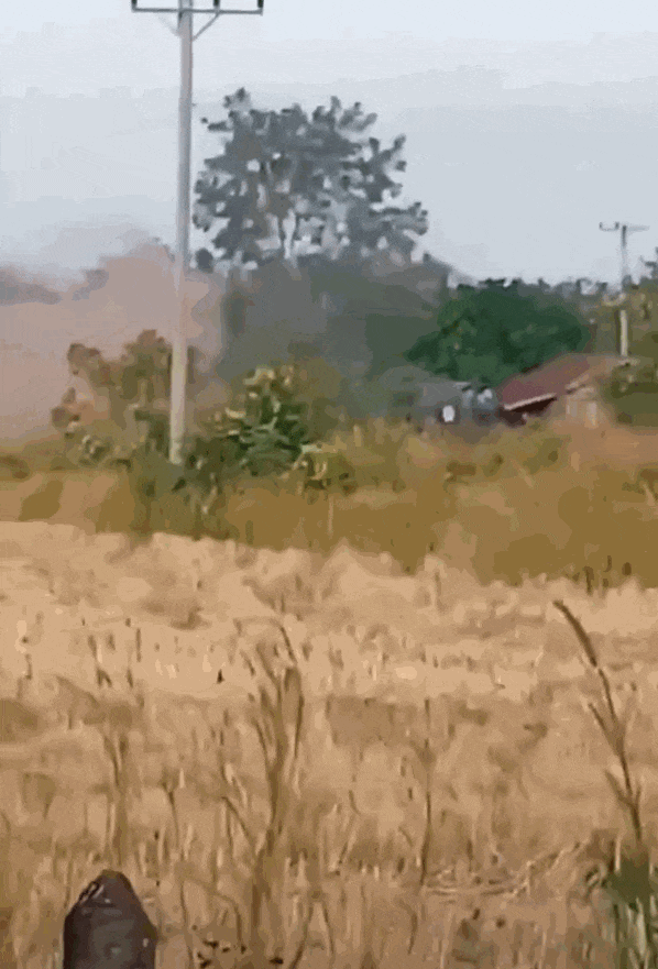 柬埔寨出动PHL-03型300毫米远火<strong></p>
<p>虚拟货币交易</strong>,3发火箭弹准确命中泰军据点?