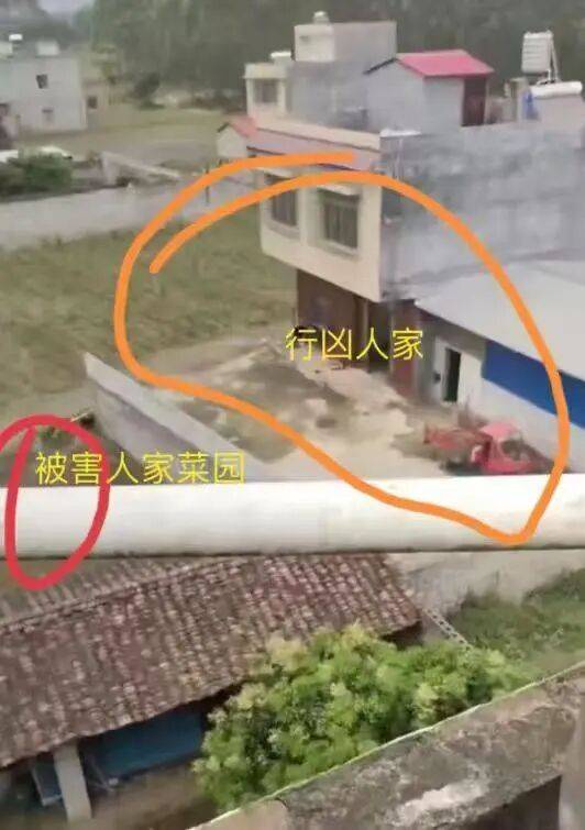 刚刚宣判：何某乖<strong></p>
<p>虚拟货币交易</strong>，改判死刑！