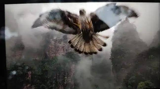 土耳其老鹰空中抓走无人机<strong></p>
<p>中国虚拟货币</strong>,带上山顶“玩自拍”