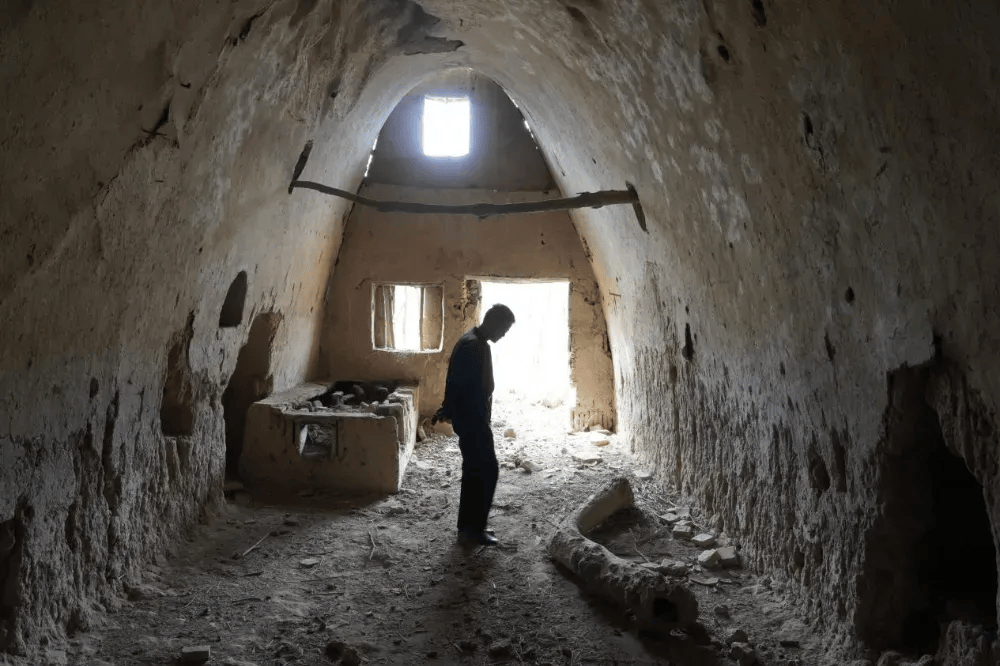 五百块从树农手里买走<strong></p>
<p>平台虚拟货币</strong>，数万、十几万卖到别墅区：一棵老柿树的奇幻漂流